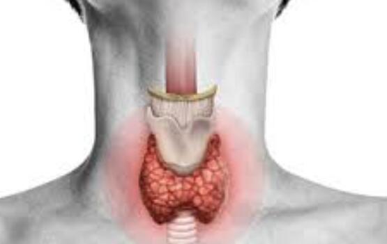 吸烟与甲状腺疾病：吸烟增加了患甲状腺疾病的风险，并使病情恶化