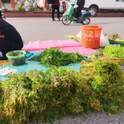 东阳烟草价格(东阳烟草价格：了解行情，精打细算)