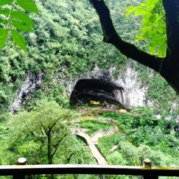 黄果树最贵的香烟价格表图(黄果树最贵香烟价格一览)