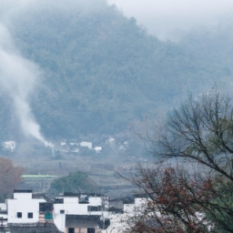 安徽什么烟出名(安徽典型香烟品牌：四大扁)