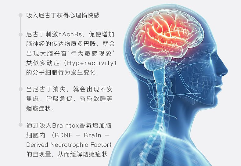 忍不住想抽了？那就闻下这根戒烟棒吧！立马就不想了，还提神醒脑