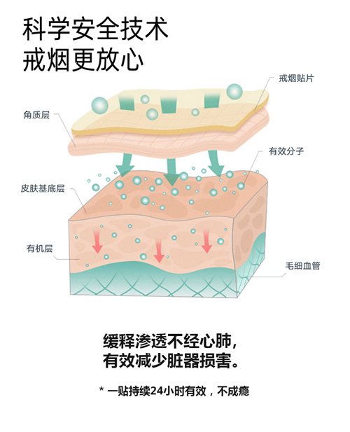 白云山戒烟贴：控烟和戒烟的温和选择