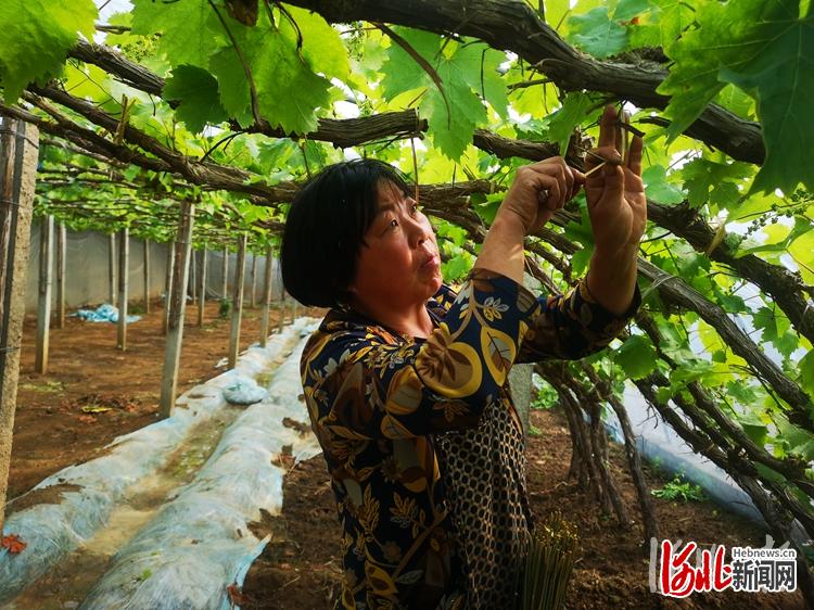 造雾者蒸汽电子烟_造雾者蒸汽电子烟体验馆怎么样_私自造烟的村子