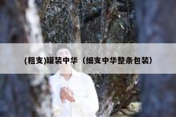 (粗支)罐装中华（细支中华整条包装）